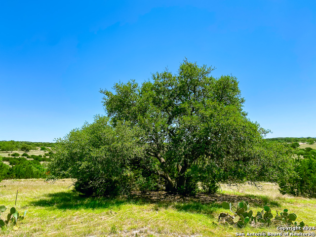 Image 9 of 13 For Lot 124 Loma Vista Ranch