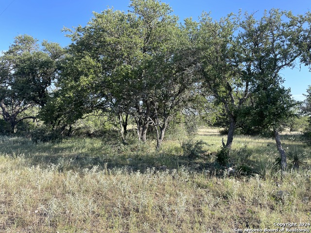 Image 8 of 18 For 1542 Elm Springs Trail