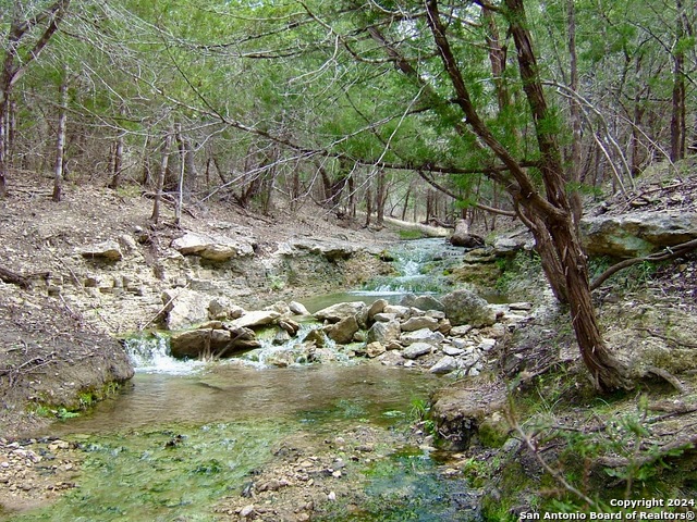 Image 1 of 20 For 10047 Creekwood Pass