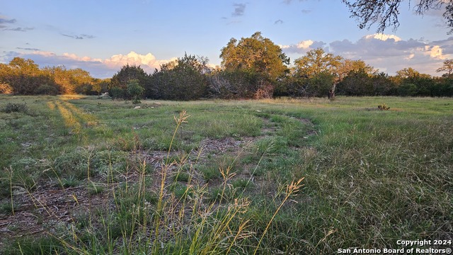 Image 8 of 49 For 319 Sattler Rd