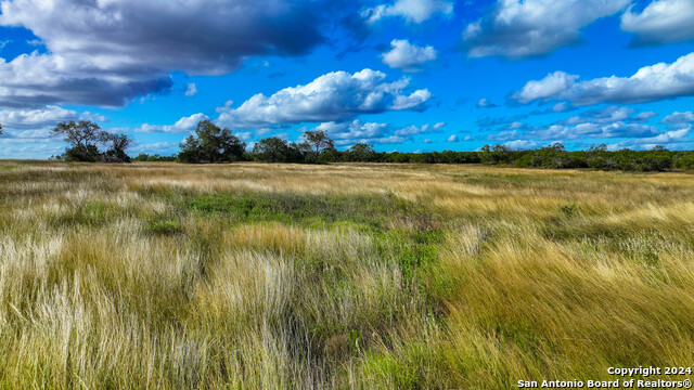 Image 9 of 43 For 6402 County Road 345