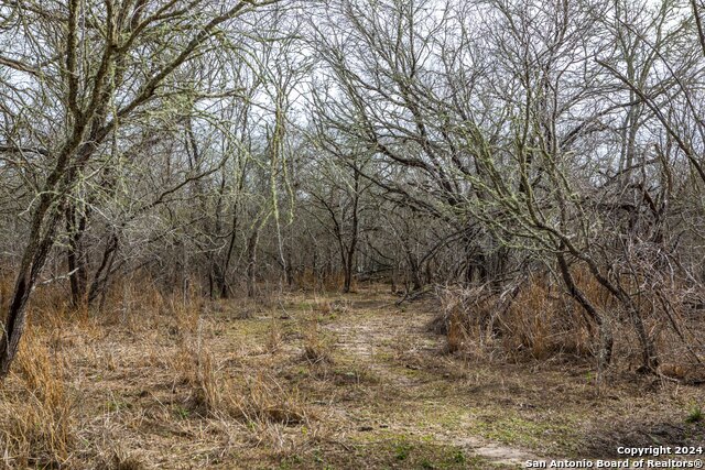 Listing photo id 8 for 8684 Mineral Cemetery Rd