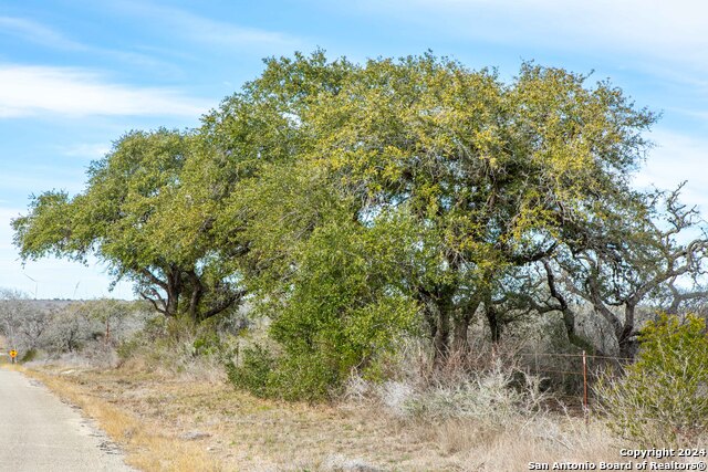 Listing photo id 19 for 8684 Mineral Cemetery Rd