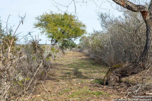 Listing photo id 21 for 8684 Mineral Cemetery Rd