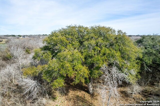 Listing photo id 29 for 8684 Mineral Cemetery Rd