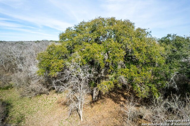 Listing photo id 30 for 8684 Mineral Cemetery Rd