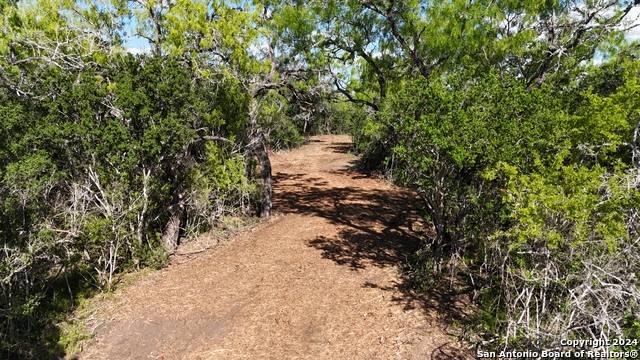 Listing photo id 32 for 8684 Mineral Cemetery Rd