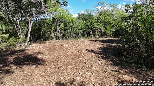 Listing photo id 33 for 8684 Mineral Cemetery Rd