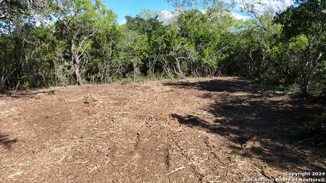 Listing photo id 34 for 8684 Mineral Cemetery Rd