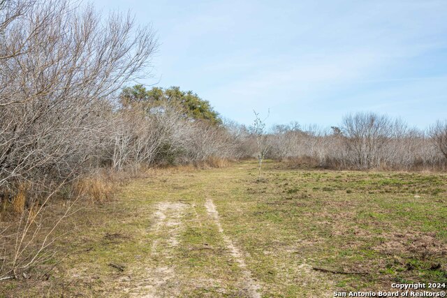 Listing photo id 2 for 8684 Mineral Cemetery Rd