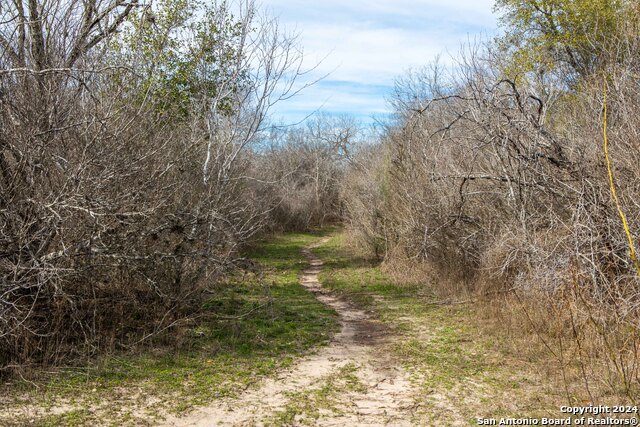 Listing photo id 3 for 8684 Mineral Cemetery Rd