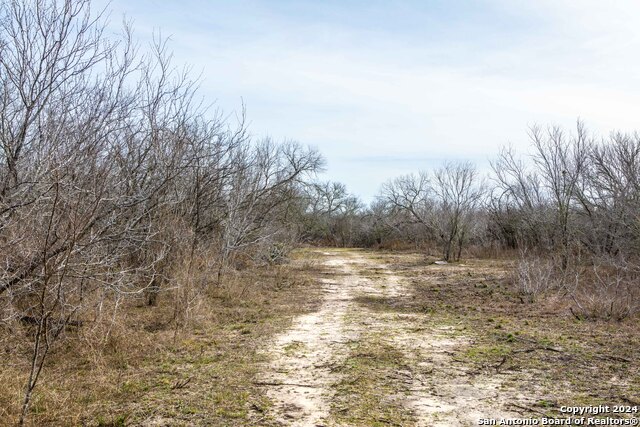 Listing photo id 4 for 8684 Mineral Cemetery Rd