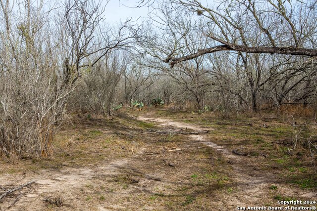 Listing photo id 5 for 8684 Mineral Cemetery Rd