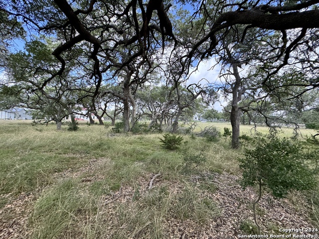 Image 11 of 25 For 931 Maximino Ridge