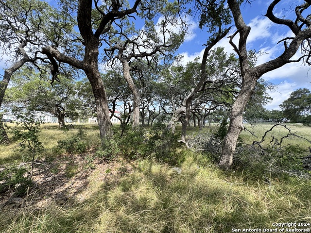 Image 12 of 25 For 931 Maximino Ridge