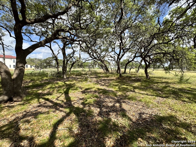 Image 13 of 25 For 931 Maximino Ridge