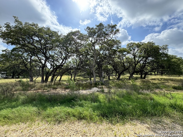 Image 3 of 25 For 931 Maximino Ridge