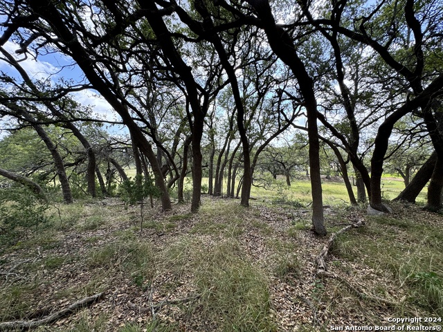 Image 7 of 25 For 931 Maximino Ridge