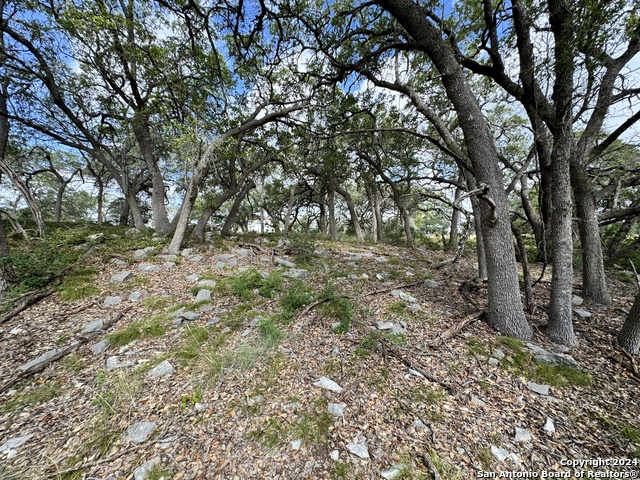 Image 8 of 25 For 931 Maximino Ridge