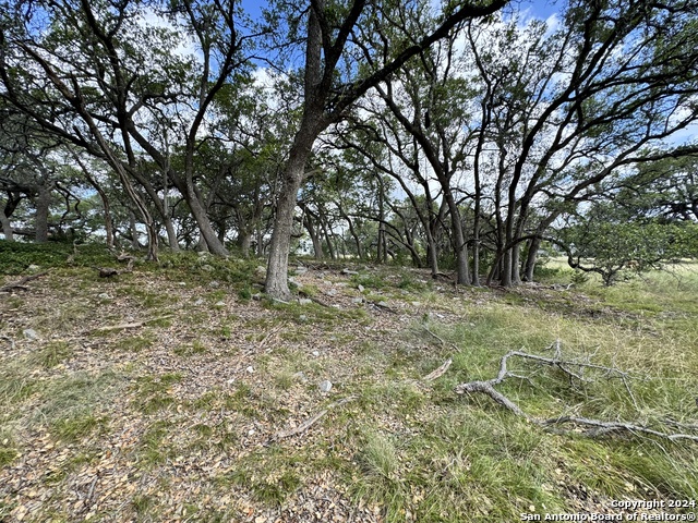 Image 9 of 25 For 931 Maximino Ridge