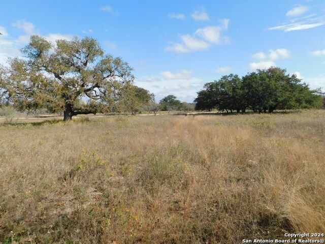 Image 1 of 5 For Tbd County Road 781