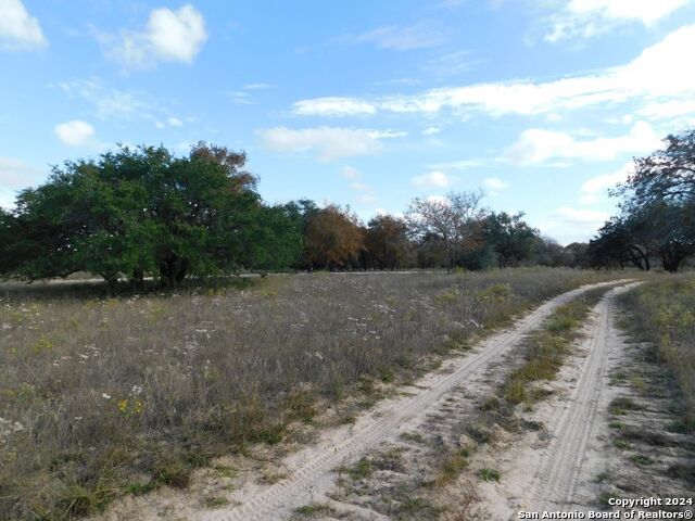 Image 5 of 5 For Tbd County Road 781