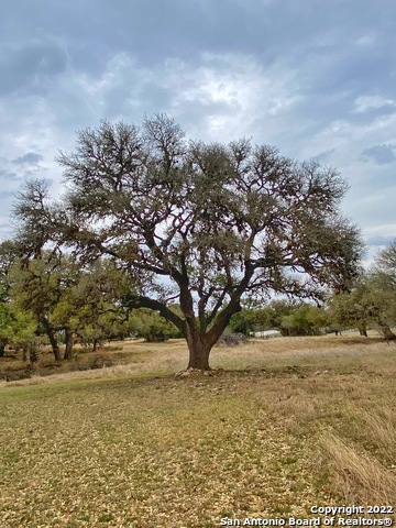 Image 3 of 21 For 109 Rio Grande