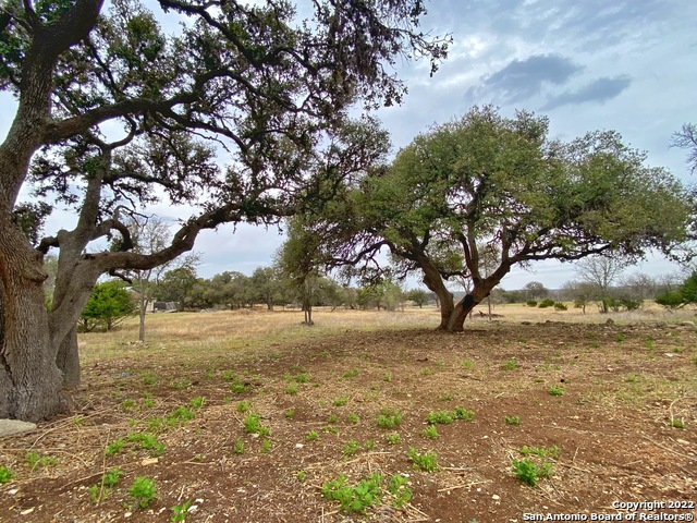 Image 6 of 21 For 109 Rio Grande