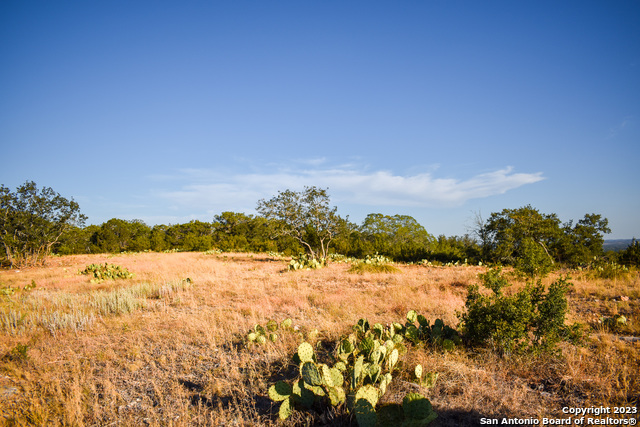 Listing photo id 8 for 23.81 Ac Cypress Creek Road