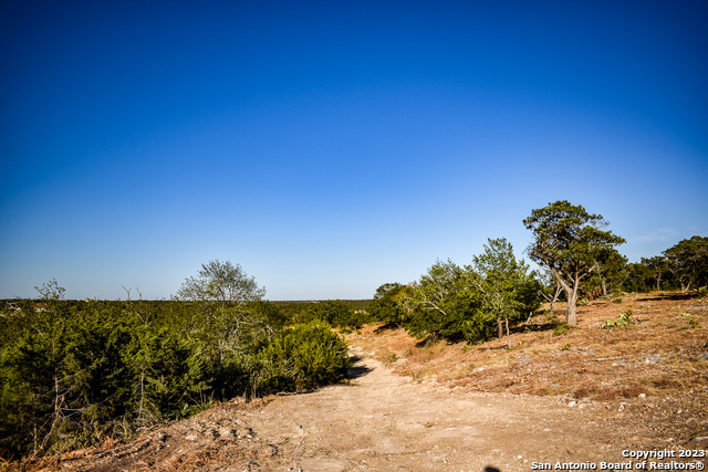 Listing photo id 10 for 23.81 Ac Cypress Creek Road