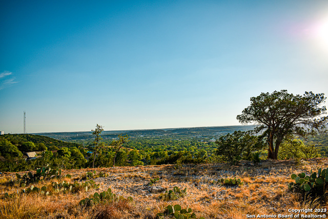 Listing photo id 13 for 23.81 Ac Cypress Creek Road