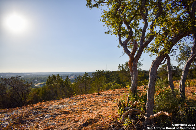 Listing photo id 18 for 23.81 Ac Cypress Creek Road