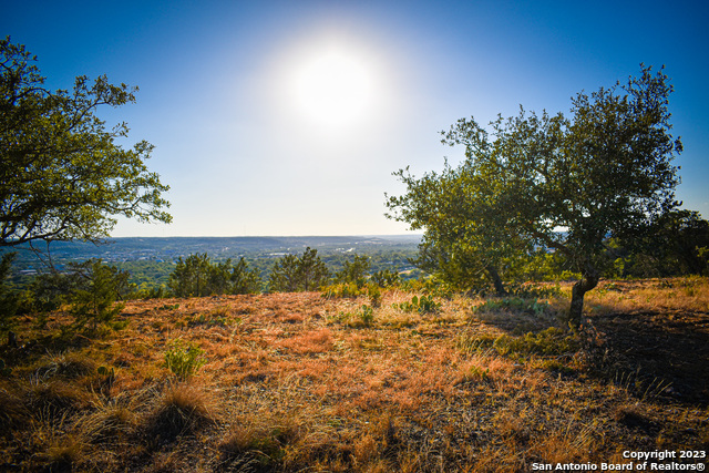 Listing photo id 19 for 23.81 Ac Cypress Creek Road