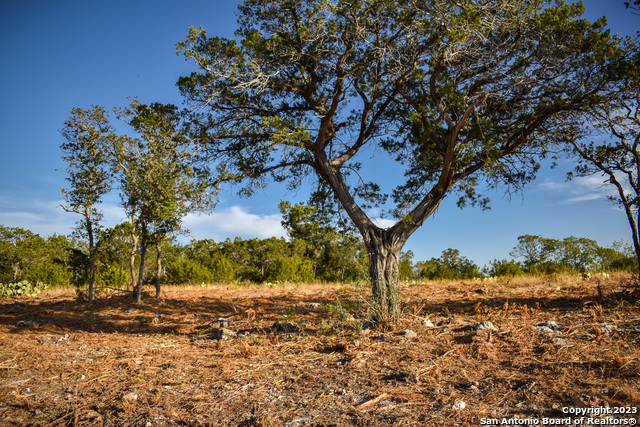 Listing photo id 22 for 23.81 Ac Cypress Creek Road