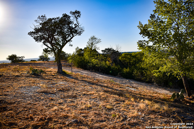 Listing photo id 23 for 23.81 Ac Cypress Creek Road