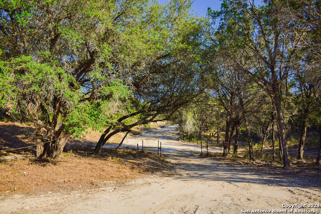 Listing photo id 24 for 23.81 Ac Cypress Creek Road