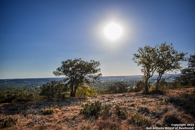 Listing photo id 25 for 23.81 Ac Cypress Creek Road