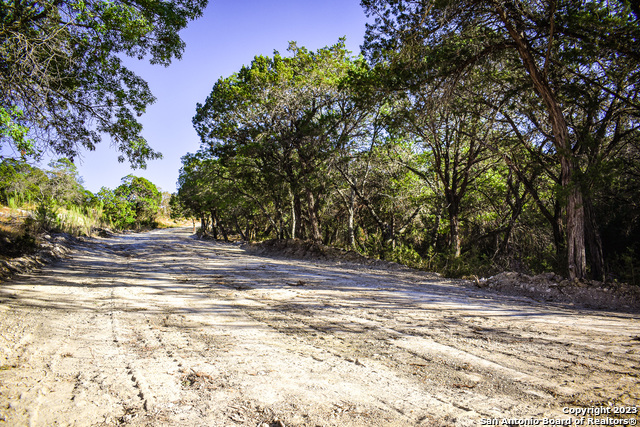 Listing photo id 2 for 23.81 Ac Cypress Creek Road