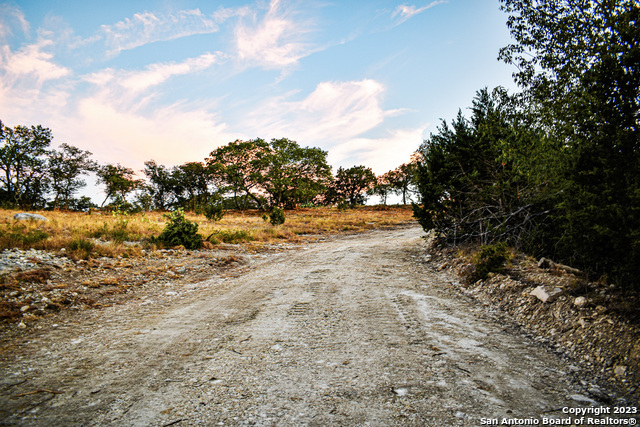 Listing photo id 41 for 23.81 Ac Cypress Creek Road