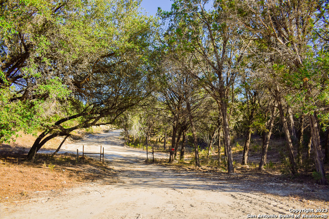 Listing photo id 7 for 23.81 Ac Cypress Creek Road