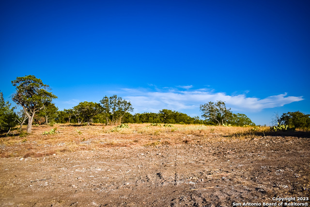 Image 15 of 51 For 23.81 Ac Cypress Creek Road