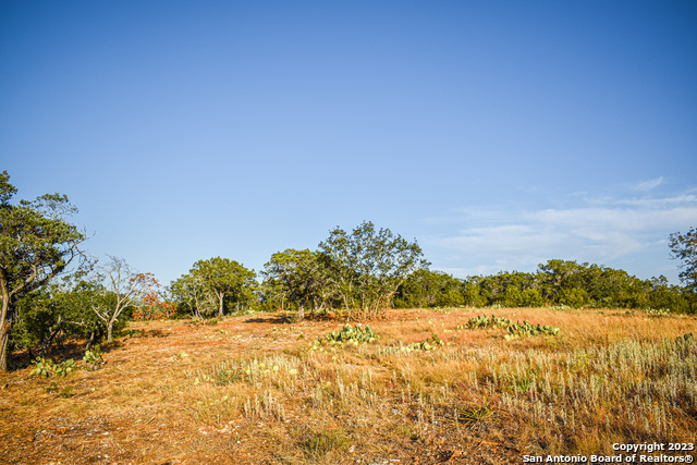 Image 25 of 51 For 23.81 Ac Cypress Creek Road