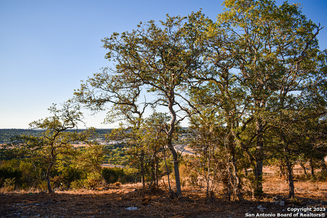 Image 32 of 51 For 23.81 Ac Cypress Creek Road