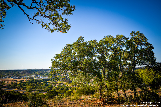 Image 37 of 51 For 23.81 Ac Cypress Creek Road