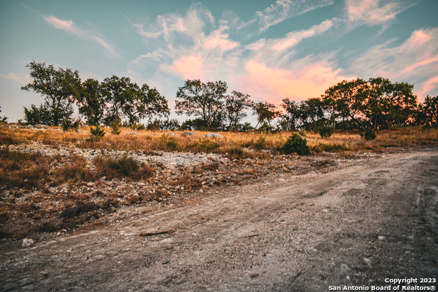 Image 4 of 51 For 23.81 Ac Cypress Creek Road