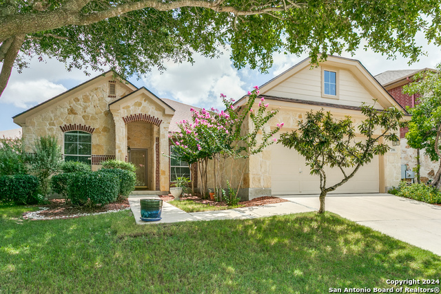 Details for 206 Grove Pl, Cibolo, TX 78108