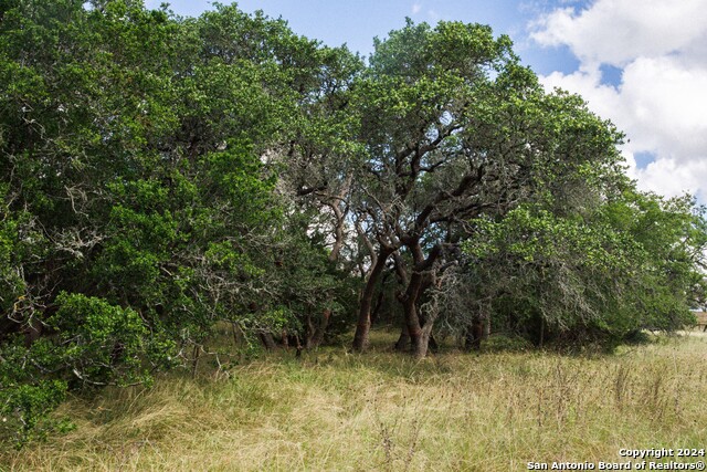 Image 8 of 16 For 34858 Last Stage Way