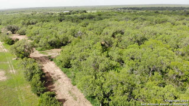 Details for 0 6th Street, Christine, TX 78064