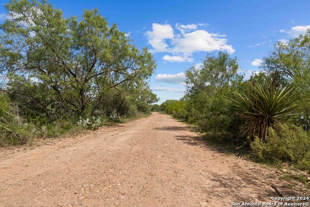 Image 4 of 90 For 1396 County Road 646