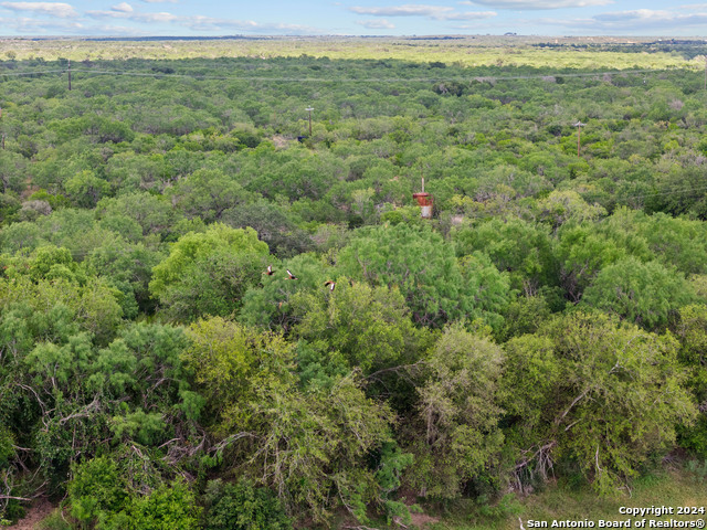 Image 44 of 90 For 1396 County Road 646